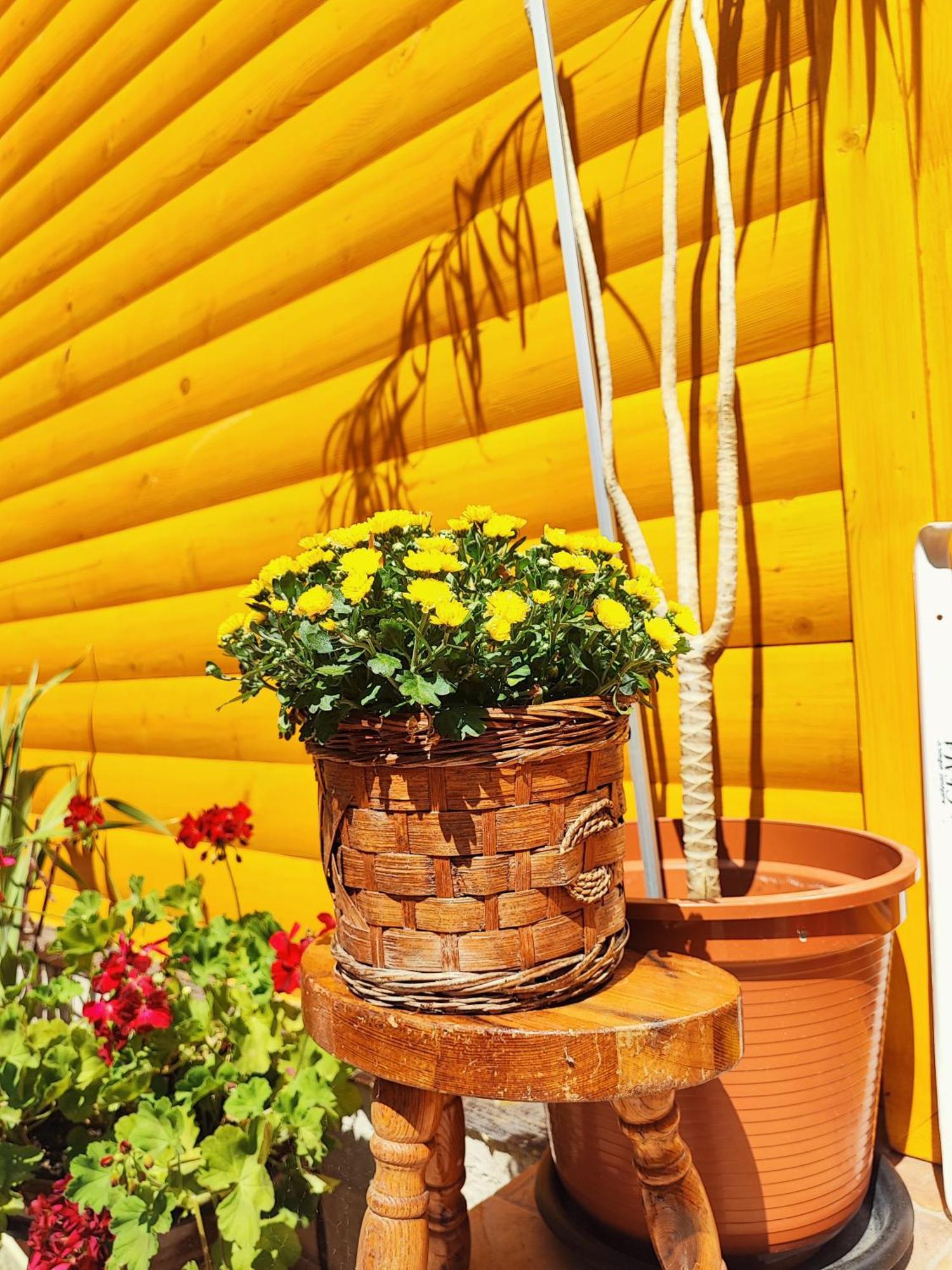 Guest House Nizama'S Place Sarajevo Exterior photo